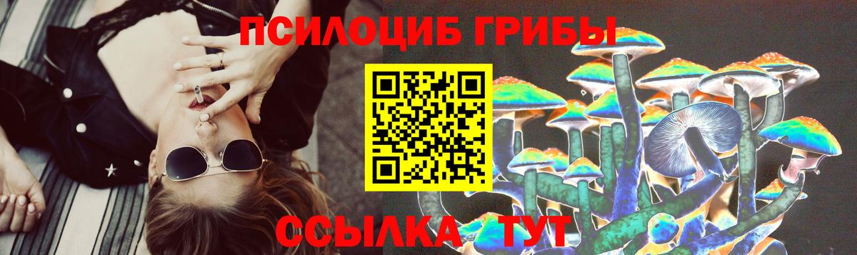 Галлюциногенные грибы Psilocybine cubensis Калуга